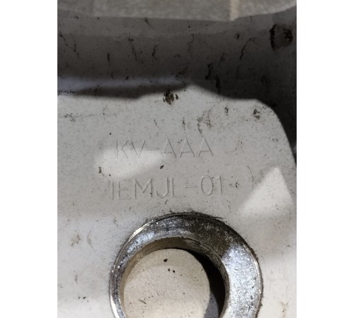 Петля двери(задняя правая нижняя)