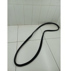 Уплотнитель двери задний правый