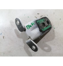 Петля двери передняя левая нижняя