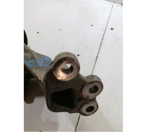 Кулак задний левый