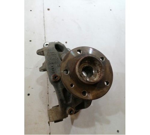 Кулак задний левый