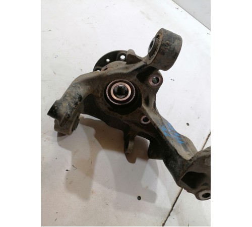 Кулак задний левый