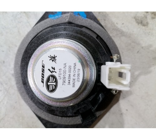 Динамик двери задний правый