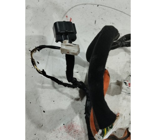 Электропроводка двери (передняя левая)