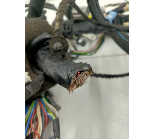 Проводка салона