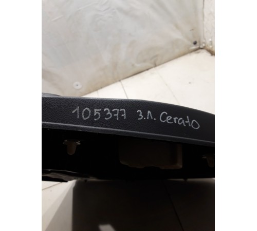 Обшивка двери (задняя левая)