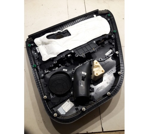 Обшивка двери (задняя левая)