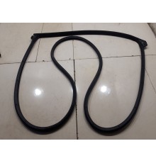 Уплотнитель двери (задний, левый)