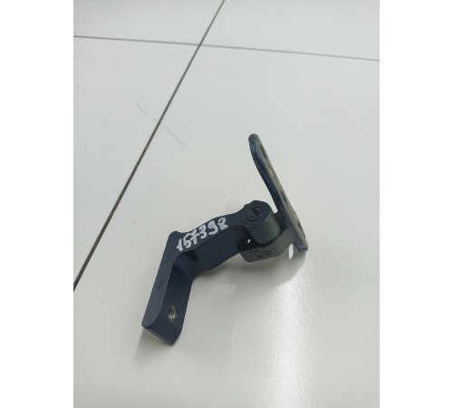 Петля двери задняя правая нижняя