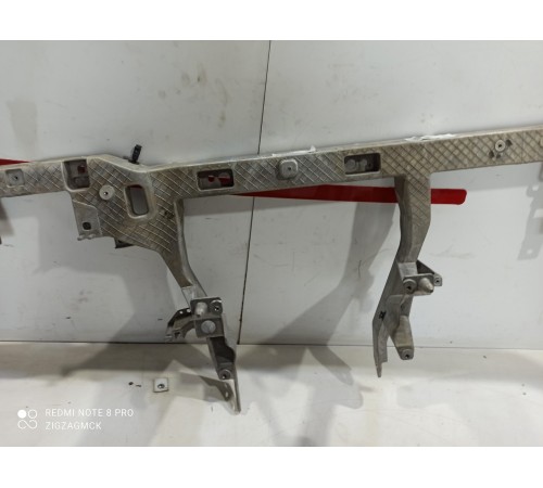 Скелет торпедо